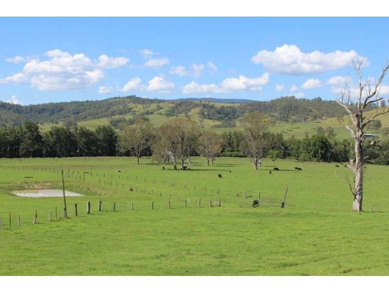 - Salisbury Road, Dungog NSW 2420