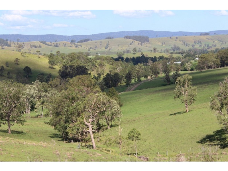 - Salisbury Road, Dungog NSW 2420