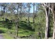 - Salisbury Road, Dungog NSW 2420