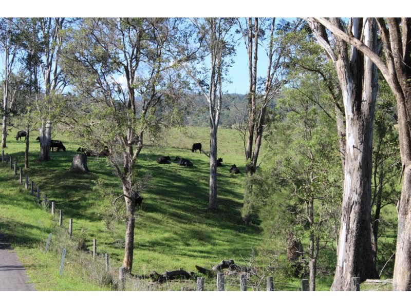 - Salisbury Road, Dungog NSW 2420