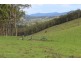 - Salisbury Road, Dungog NSW 2420