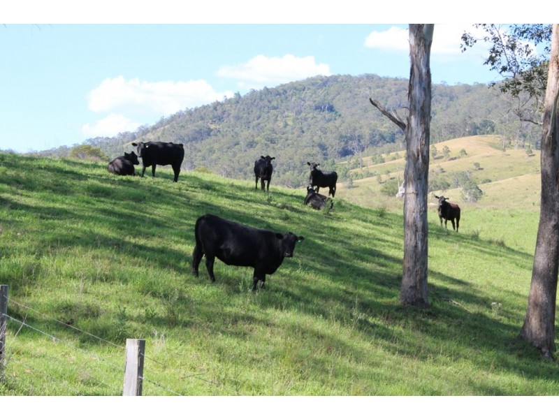 - Salisbury Road, Dungog NSW 2420