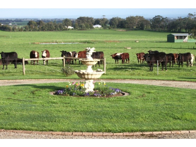 265 Lewis Road, Ripplebrook VIC 3818