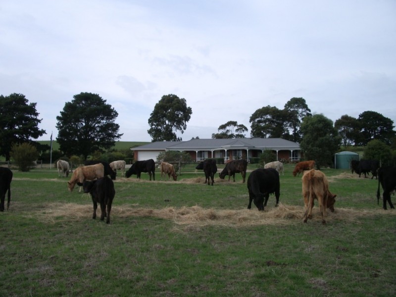 265 Lewis Road, Ripplebrook VIC 3818