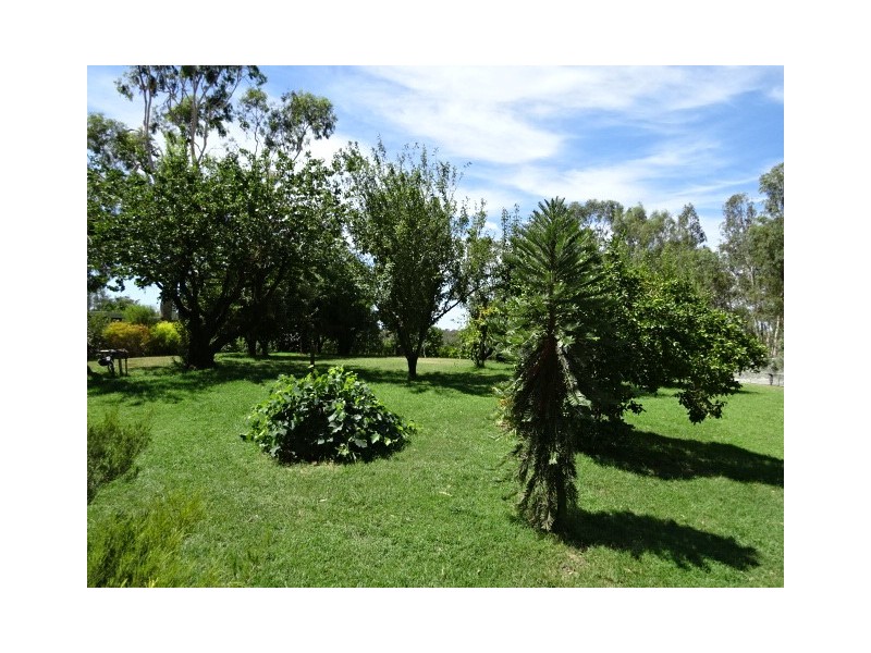 486 Stewarts Bridge Road, Echuca VIC 3564