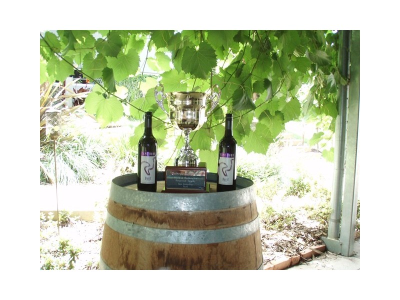 486 Stewarts Bridge Road, Echuca VIC 3564