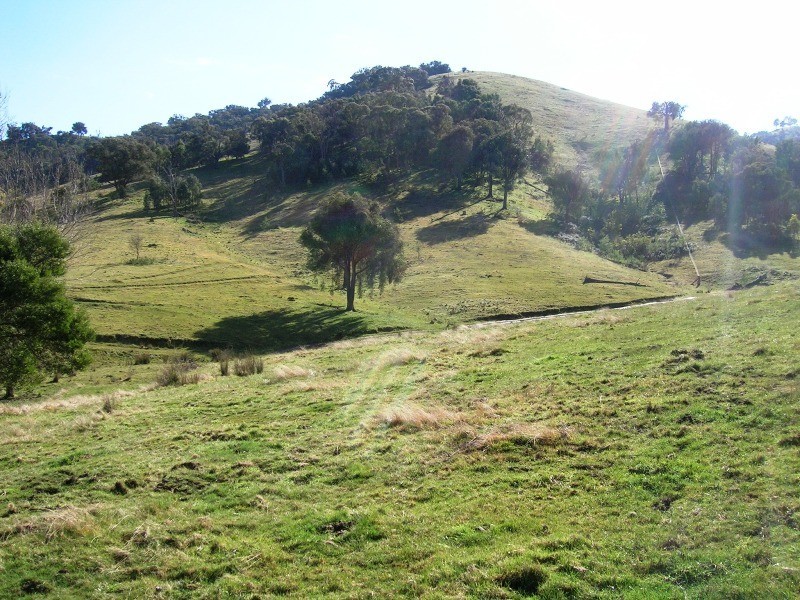 731 U.T Creek Road, Alexandra VIC 3714