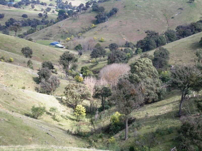 731 U.T Creek Road, Alexandra VIC 3714