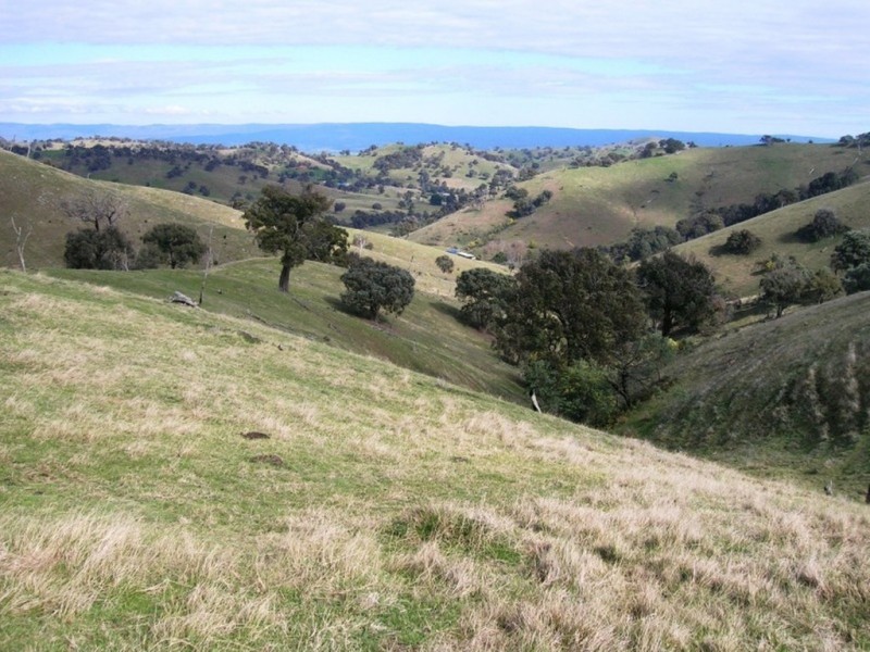 731 U.T Creek Road, Alexandra VIC 3714