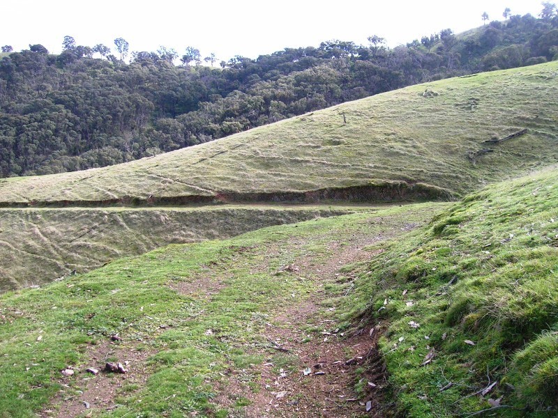 731 U.T Creek Road, Alexandra VIC 3714