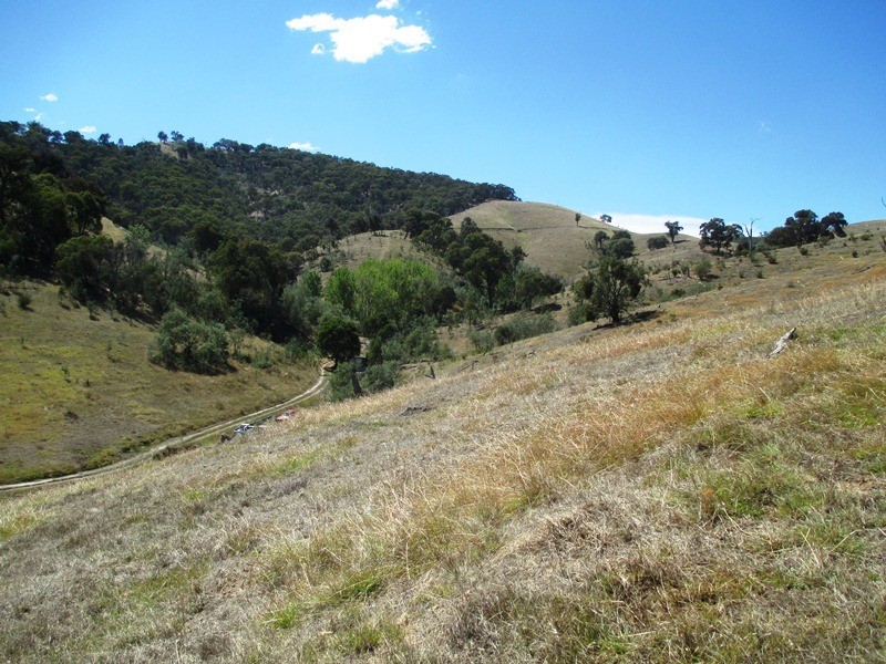 731 U.T Creek Road, Alexandra VIC 3714