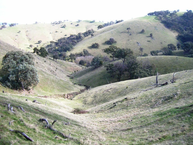 731 U.T Creek Road, Alexandra VIC 3714