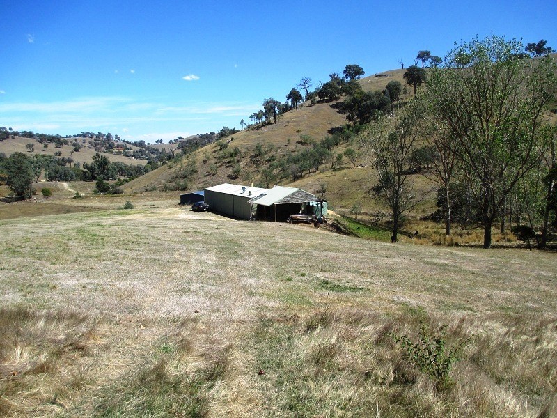 731 U.T Creek Road, Alexandra VIC 3714