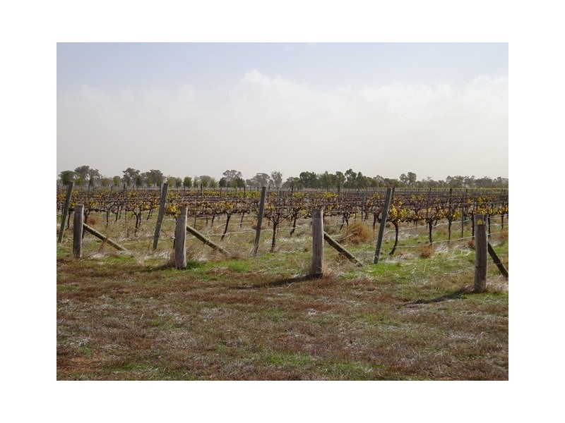 Lot 4 Acacia Place, Moama NSW 2731