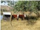 1095 Yarck Road, Gobur VIC 3719