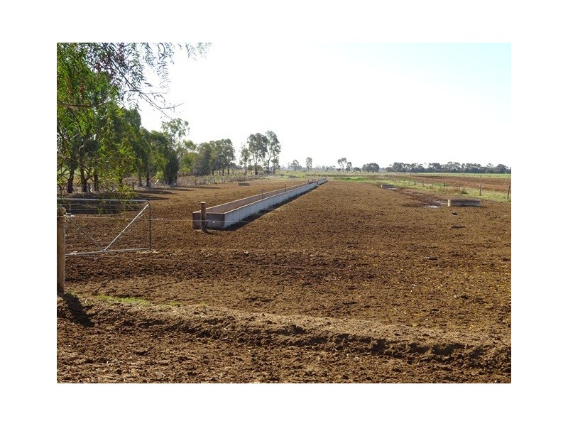 1151 McKenzie Road, Echuca VIC 3564