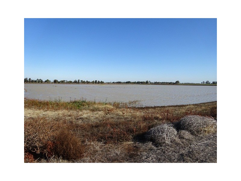 1151 McKenzie Road, Echuca VIC 3564