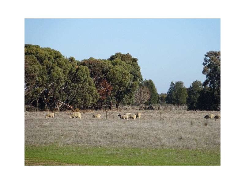 544 Maryann Road, Echuca VIC 3564