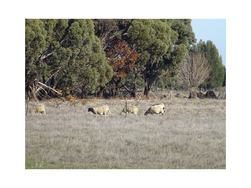 544 Maryann Road, Echuca VIC 3564