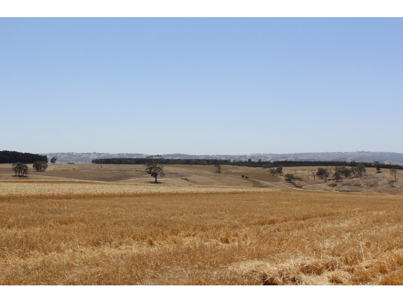 3622 Romsey Road, Darraweit Guim VIC 3756