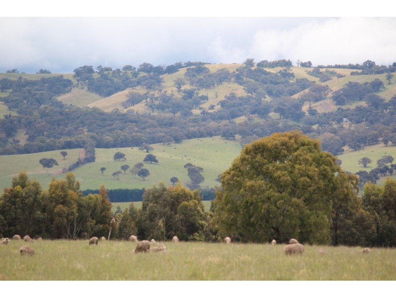 3622 Romsey Road, Darraweit Guim VIC 3756