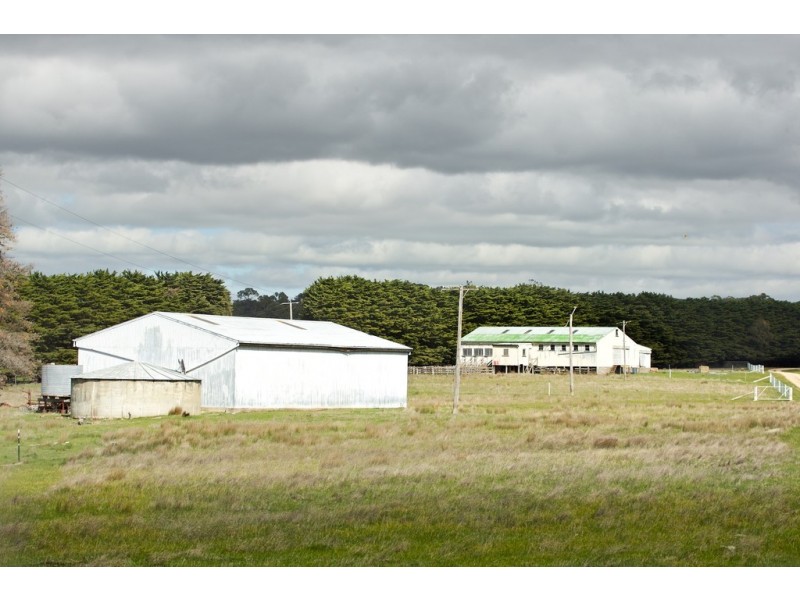 590 Forbes-Moranding Road, Willowmavin VIC 3764