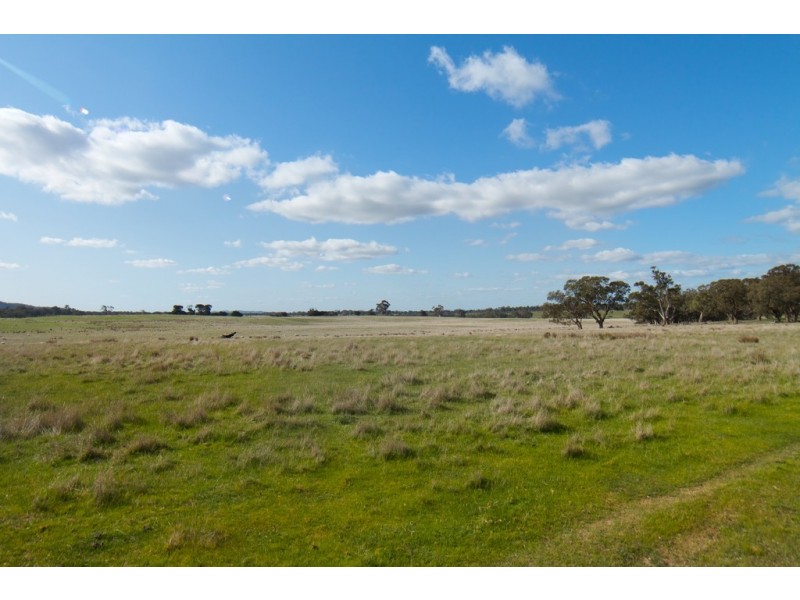 590 Forbes-Moranding Road, Willowmavin VIC 3764