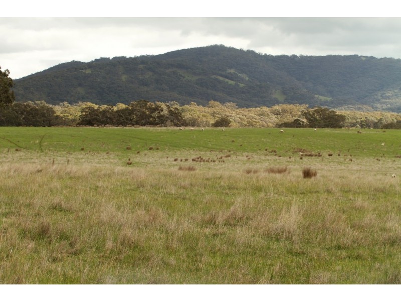 590 Forbes-Moranding Road, Willowmavin VIC 3764