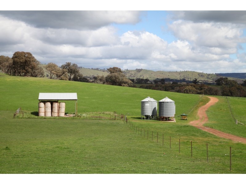 1030 Kobyboyn Road, Whiteheads Creek VIC 3660