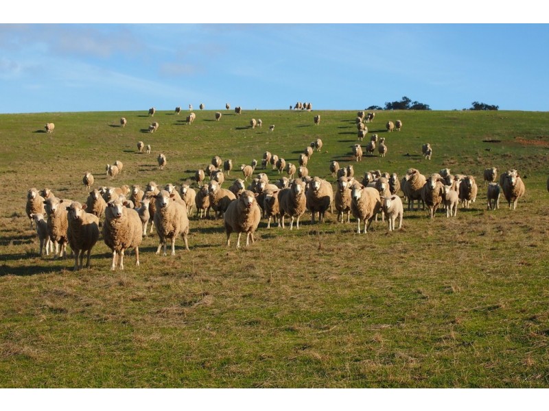 1030 Kobyboyn Road, Whiteheads Creek VIC 3660