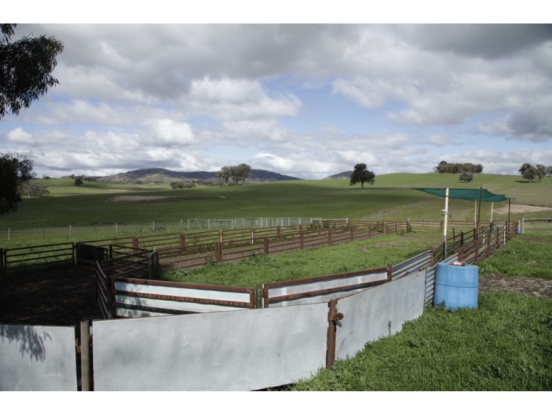 1030 Kobyboyn Road, Whiteheads Creek VIC 3660