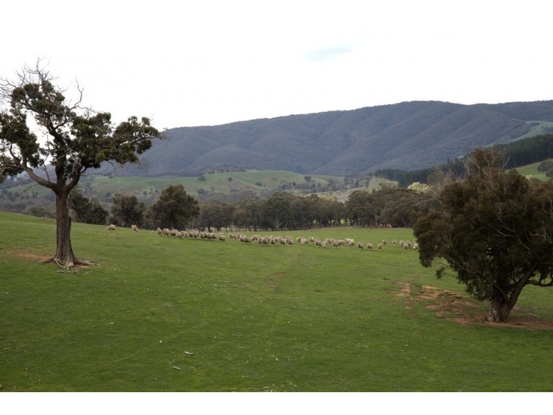 1030 Kobyboyn Road, Whiteheads Creek VIC 3660