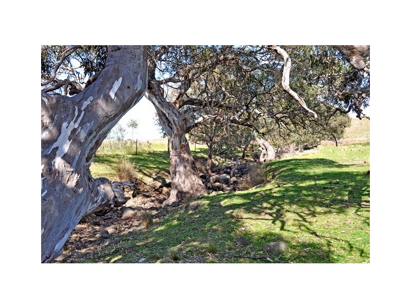 1071 Blackhill Road, Diggers Rest VIC 3427