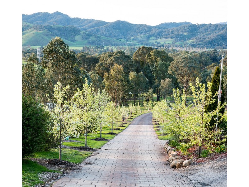 116 Snobs Creek Road, Eildon VIC 3713