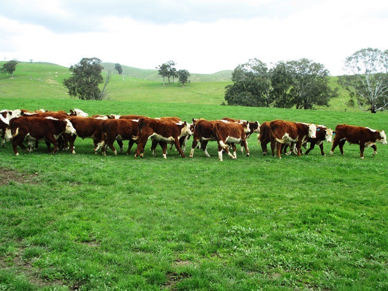 5665 Maroondah Hwy, Alexandra VIC 3714