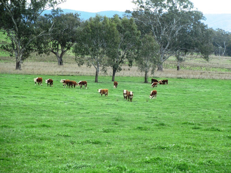 5665 Maroondah Hwy, Alexandra VIC 3714