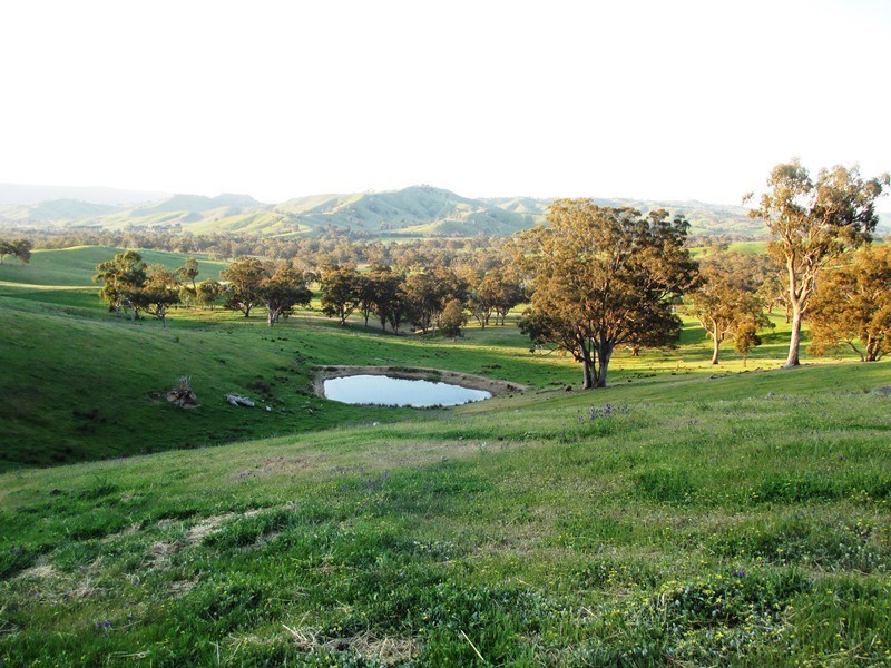 5665 Maroondah Hwy, Alexandra VIC 3714