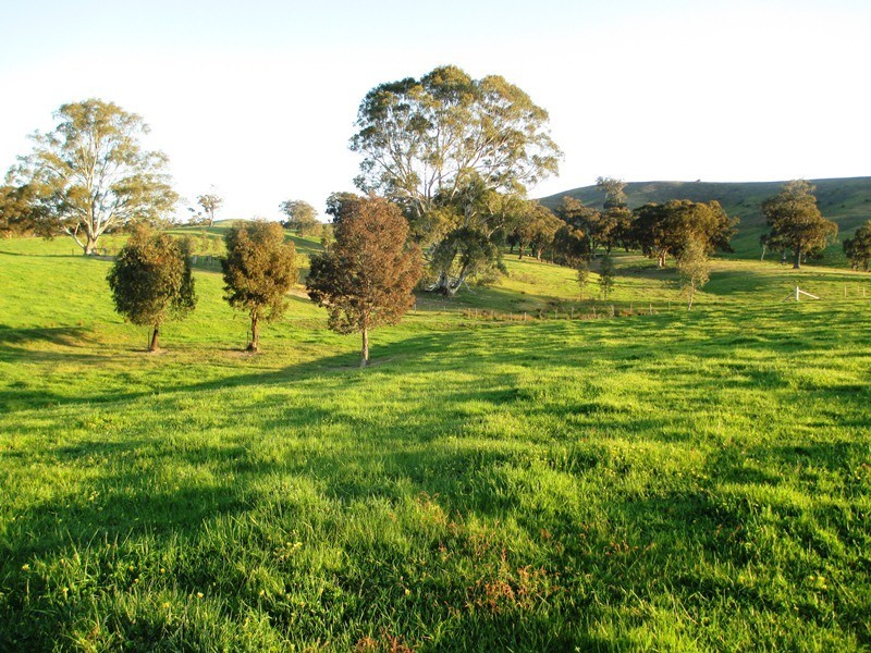 5665 Maroondah Hwy, Alexandra VIC 3714