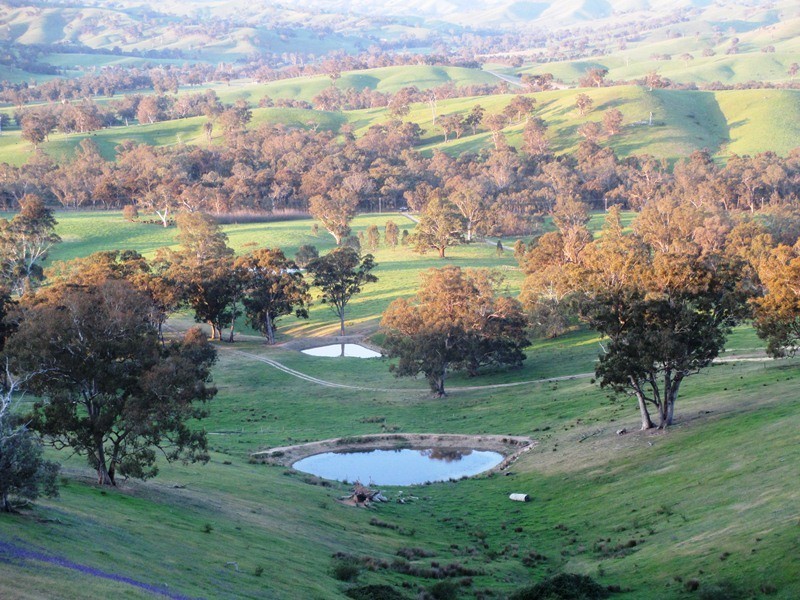 5665 Maroondah Hwy, Alexandra VIC 3714