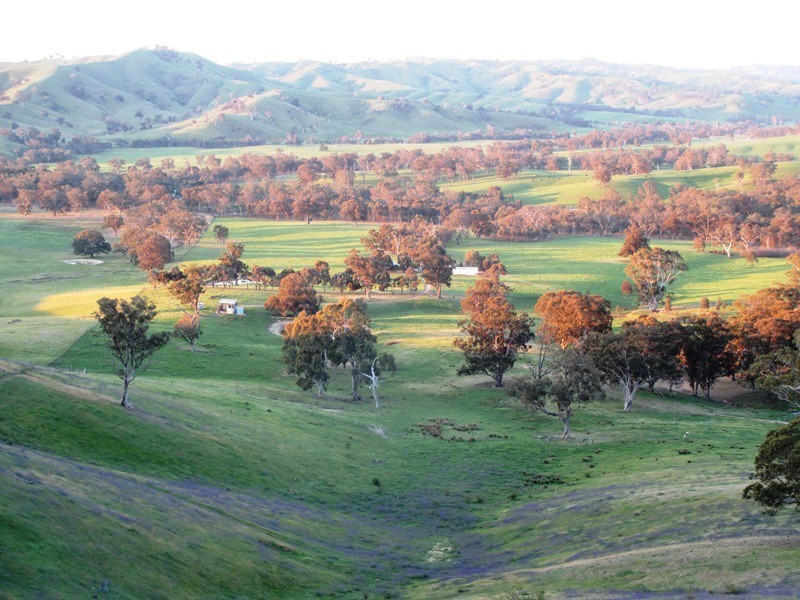 5665 Maroondah Hwy, Alexandra VIC 3714