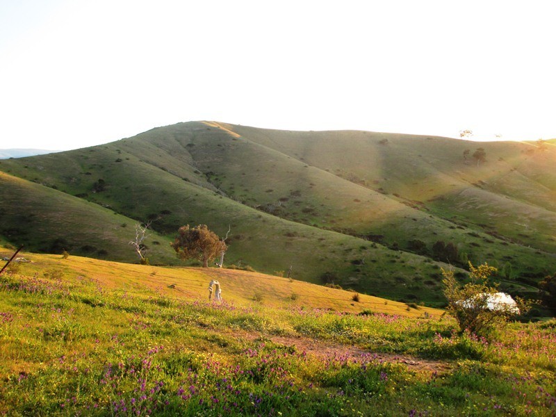 5665 Maroondah Hwy, Alexandra VIC 3714