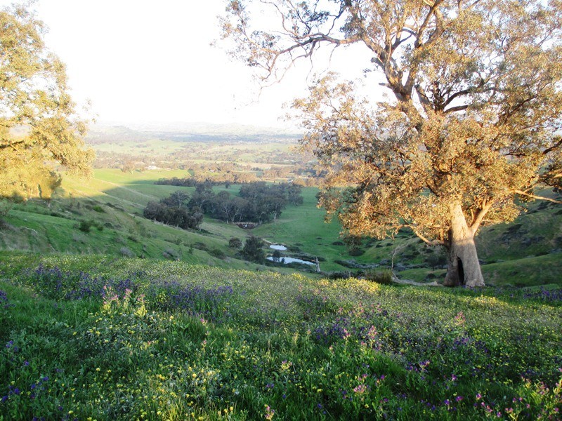 5665 Maroondah Hwy, Alexandra VIC 3714