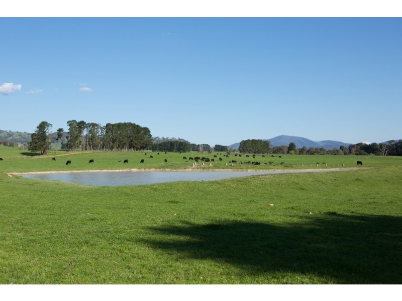- Murrindindi Road, Murrindindi VIC 3717