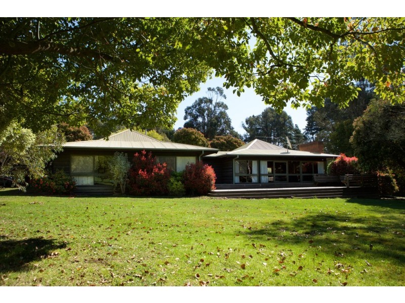 - Murrindindi Road, Murrindindi VIC 3717