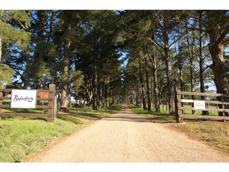 - Murrindindi Road, Murrindindi VIC 3717