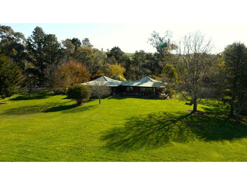 - Murrindindi Road, Murrindindi VIC 3717