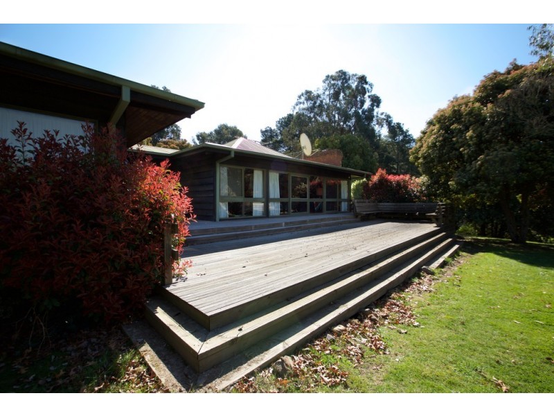 - Murrindindi Road, Murrindindi VIC 3717