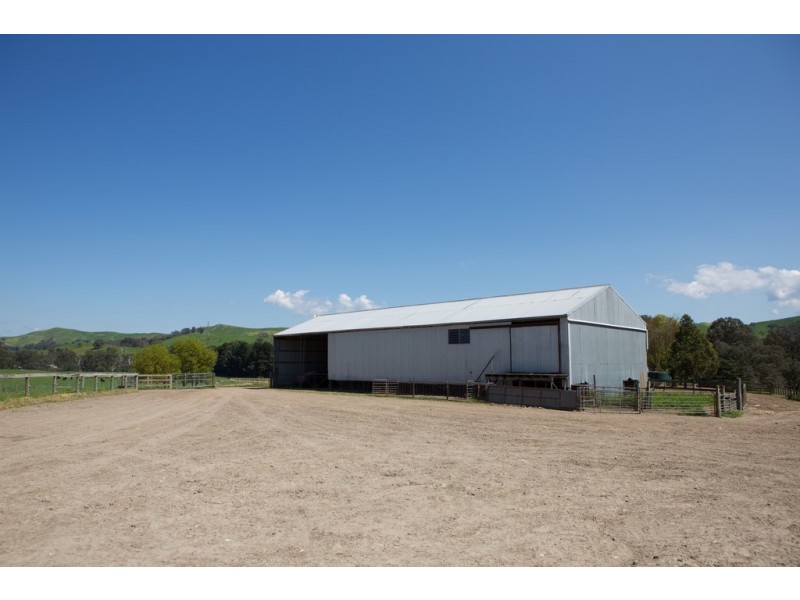 - Murrindindi Road, Murrindindi VIC 3717