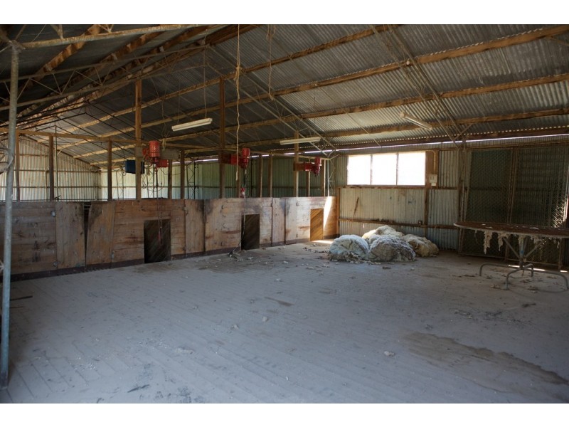 - Murrindindi Road, Murrindindi VIC 3717