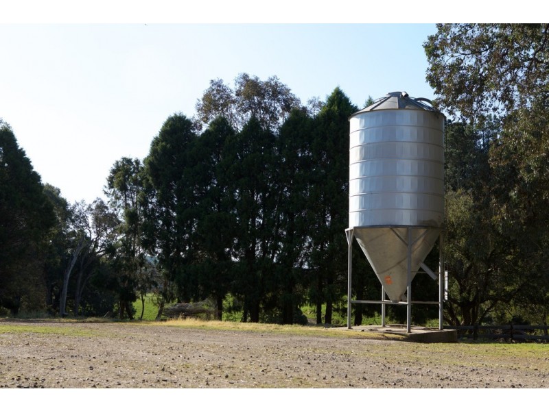 - Murrindindi Road, Murrindindi VIC 3717